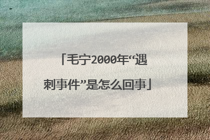 毛宁2000年“遇刺事件”是怎么回事