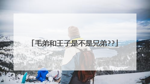 毛弟和王子是不是兄弟??