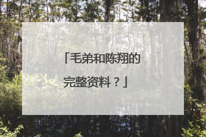 毛弟和陈翔的完整资料？