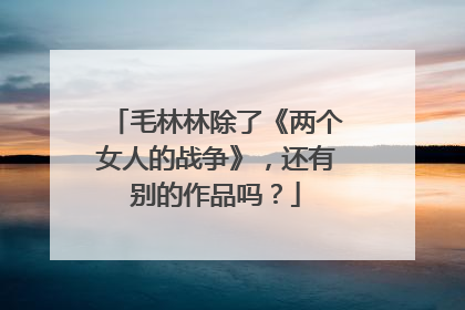 毛林林除了《两个女人的战争》,还有别的作品吗?