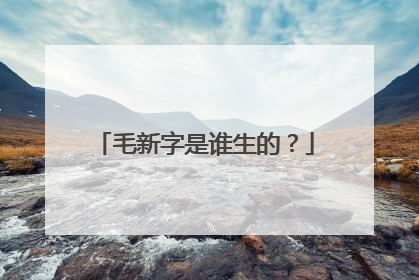 毛新字是谁生的？
