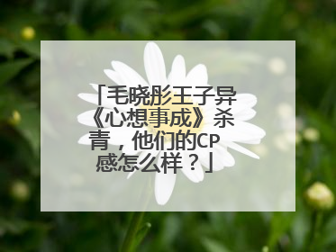 毛晓彤王子异《心想事成》杀青，他们的CP感怎么样？