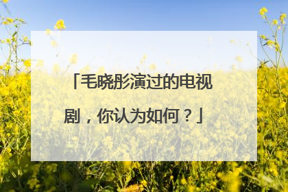 毛晓彤演过的电视剧,你认为如何?