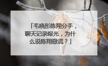 毛晓彤陈翔分手，聊天记录曝光，为什么说陈翔撒谎？