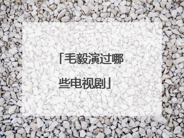 毛毅演过哪些电视剧