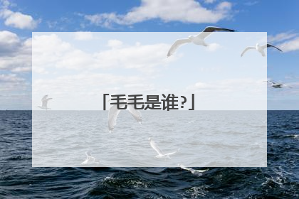 毛毛是谁?