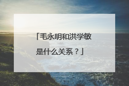 毛永明和洪学敏是什么关系？