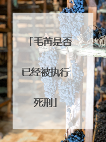 毛苒是否已经被执行死刑