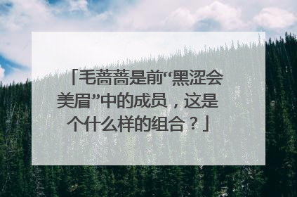 毛蔷蔷是前“黑涩会美眉”中的成员，这是个什么样的组合？