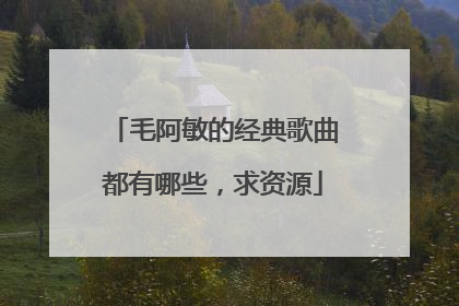 毛阿敏的经典歌曲都有哪些,求资源