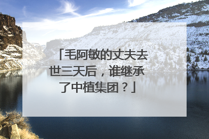 毛阿敏的丈夫去世三天后，谁继承了中植集团？