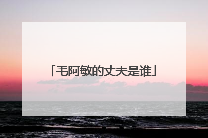 毛阿敏的丈夫是谁