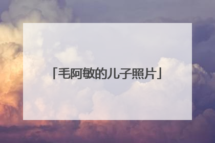 毛阿敏的儿子照片
