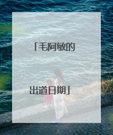 毛阿敏的出道日期