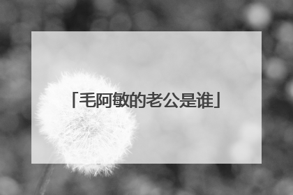 毛阿敏的老公是谁