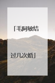 毛阿敏结过几次婚