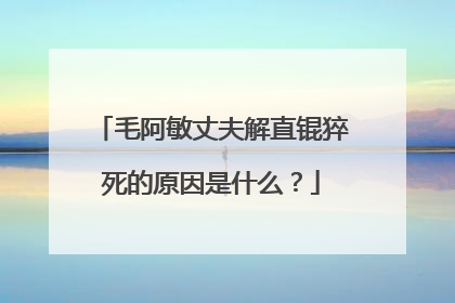毛阿敏丈夫解直锟猝死的原因是什么?