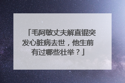 毛阿敏丈夫解直锟突发心脏病去世，他生前有过哪些壮举？