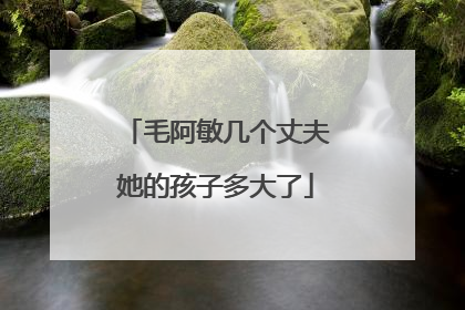 毛阿敏几个丈夫她的孩子多大了