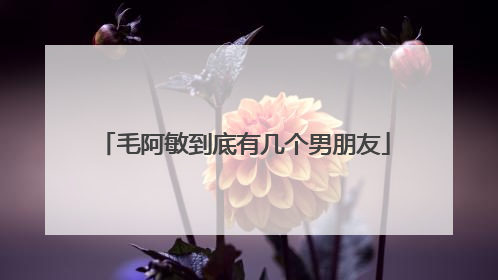 毛阿敏到底有几个男朋友