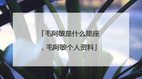 毛阿敏是什么星座,毛阿敏个人资料