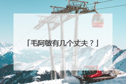 毛阿敏有几个丈夫?