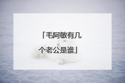 毛阿敏有几个老公是谁