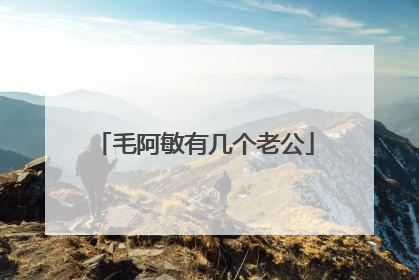 毛阿敏有几个老公