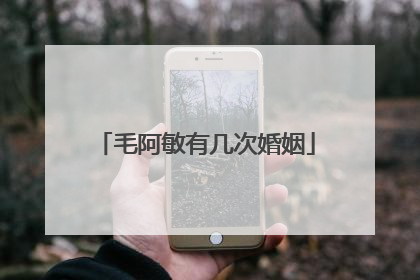 毛阿敏有几次婚姻