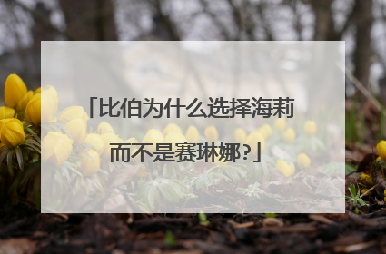 比伯为什么选择海莉 而不是赛琳娜?