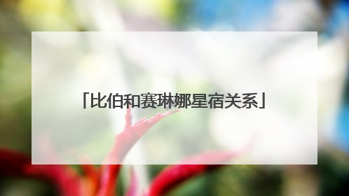 比伯和赛琳娜星宿关系