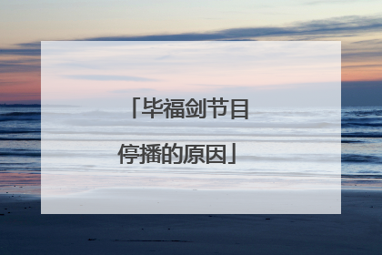 毕福剑节目停播的原因