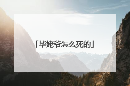 毕姥爷怎么死的