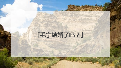 毛宁结婚了吗？