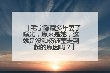 毛宁隐藏多年妻子曝光，原来是她，这就是没和杨钰莹走到一起的原因吗？