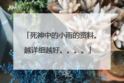 死神中的小雨的资料。越详细越好。。。。