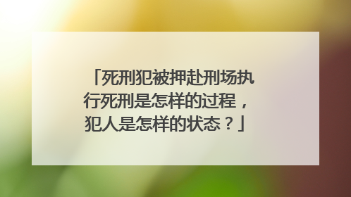 死刑犯被押赴刑场执行死刑是怎样的过程，犯人是怎样的状态？