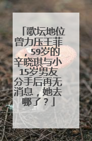 歌坛地位曾力压王菲,59岁的辛晓琪与小15岁男友分手后再无消息,她去哪了?