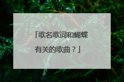 歌名歌词和蝴蝶有关的歌曲?