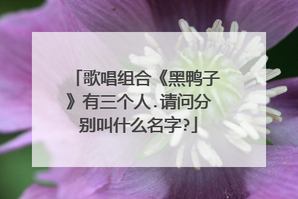 歌唱组合《黑鸭子》有三个人.请问分别叫什么名字?