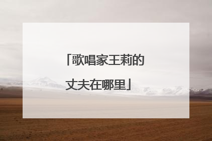 歌唱家王莉的丈夫在哪里