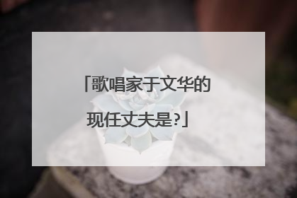 歌唱家于文华的现任丈夫是?