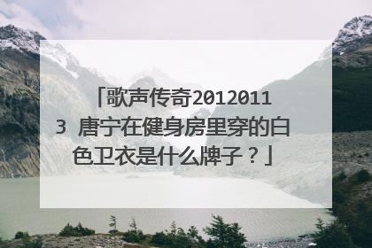 歌声传奇20120113 唐宁在健身房里穿的白色卫衣是什么牌子?