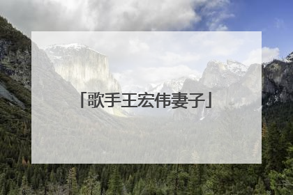 歌手王宏伟妻子