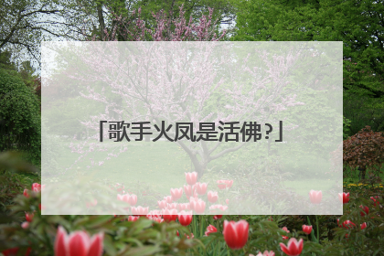 歌手火凤是活佛?