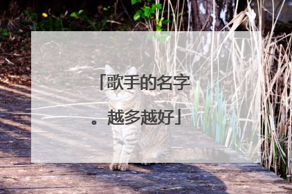 歌手的名字。越多越好