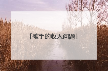 歌手的收入问题