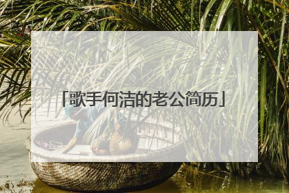 歌手何洁的老公简历