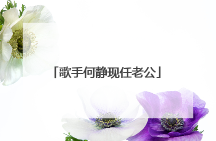 歌手何静现任老公