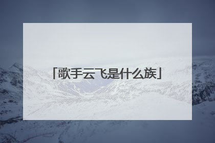 歌手云飞是什么族